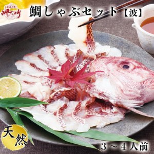 岬だより 贅沢すぎる!鯛しゃぶセット [波] -出汁・ポン酢付き- [配送不可地域:離島]