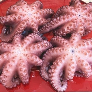 南知多産 茹でたこ 約1kg(4杯) [配送不可地域：離島]