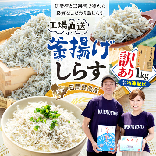 訳あり 釜揚げしらす 1kg 冷凍 愛知県南知多町 日間賀島