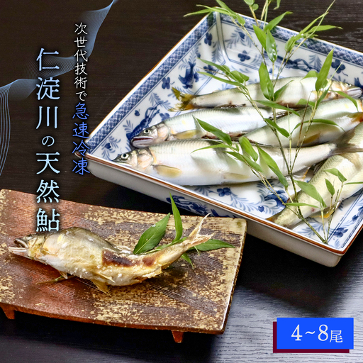 仁淀川の天然鮎(4匹〜8匹)★冷凍