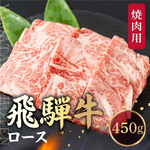 飛騨牛 ロース 焼肉 450ｇ 霜降り ブランド牛  肉 飛騨牛 山武商店 LZ010