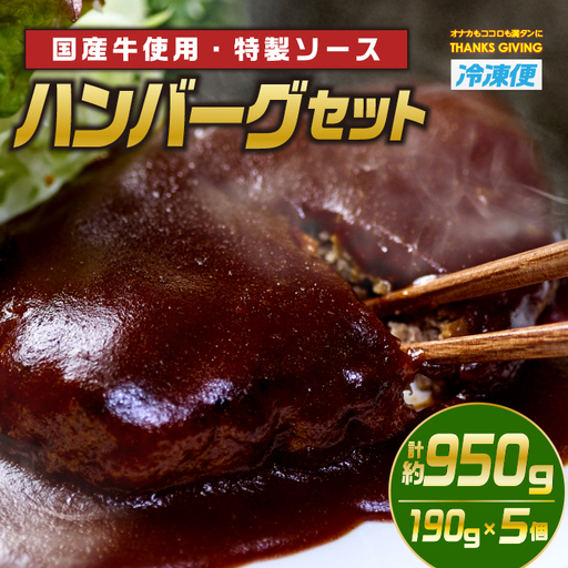 ハンバーグセット(計約950g・190g×5個) 牛肉 冷凍 個包装 国産 [TG-1][サンクスギビング]
