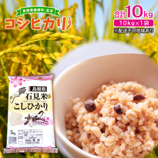 〈先行予約〉新米 令和6年産 美郷町産コシヒカリ 玄米 10kg【お米 10kg 1袋 玄米 ブランド米 米 こしひかり お米 先行予約 2024年産】