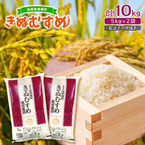 美郷町産きぬむすめ 10kg【お米 10kg 5kg×2袋 精米 白米 ブランド米 米 きぬむすめ お米】