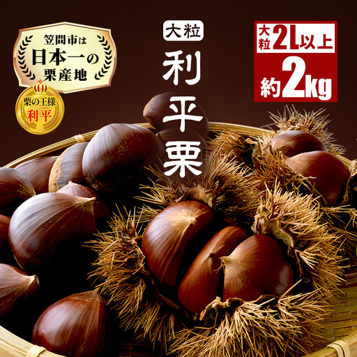 生栗 2kg 栗 2L以上 AH-006