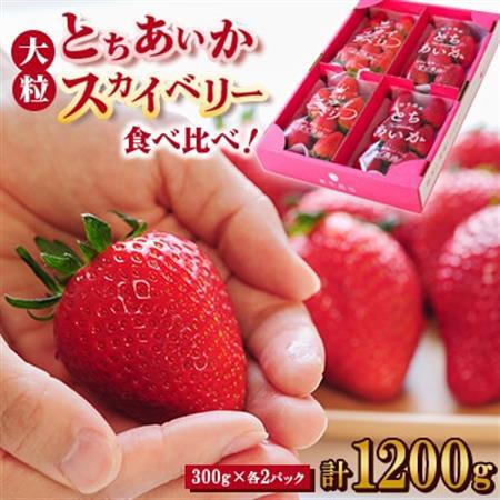 【春イチゴ】 食べ比べ!大粒『スカイベリー』、『とちあいか』300g×2パックずつ_果物・フルーツ いちご  イチゴ 苺_【配送不可地域：離島】【1291781】