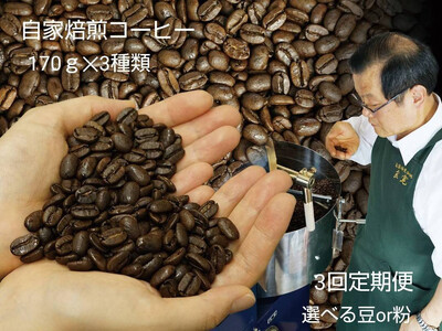 [定期便3回]米国スペシャリティー認定豆170g×3袋を毎月お届け!