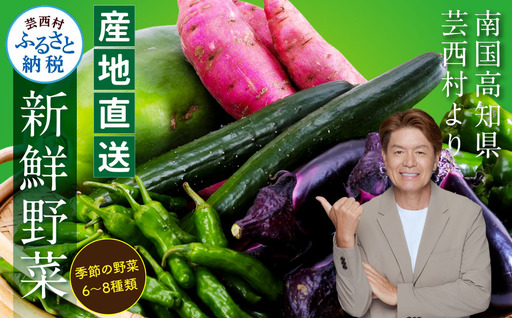 朝どれ！野菜の詰合せ／芸西村で採れた新鮮な野菜6～8種類をお届けします。