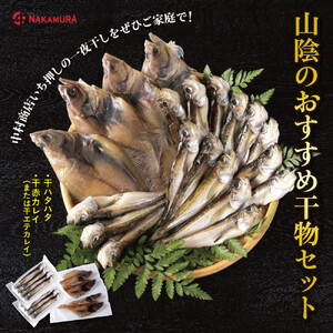 山陰のおすすめ干物セット【中村商店】