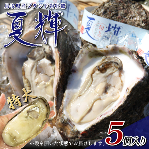 【21004】夏輝（岩ガキ）