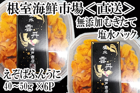 根室海鮮市場[直送]無添加むきたてエゾバフンウニ塩水パック(赤系)40～50g×6P F-28008