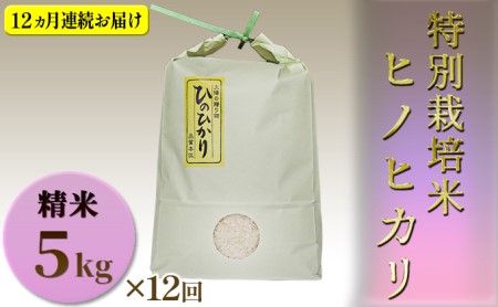ヒノヒカリ特別栽培米精米1等米ヒノヒカリ【5kg×12回】【定期便】
