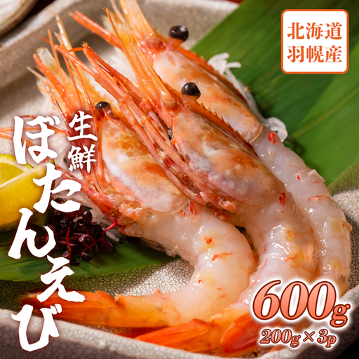 超速リキッド凍結でドリップゼロ！北海道羽幌産生鮮ぼたんえび 600g（200g×3パック）【0311801】