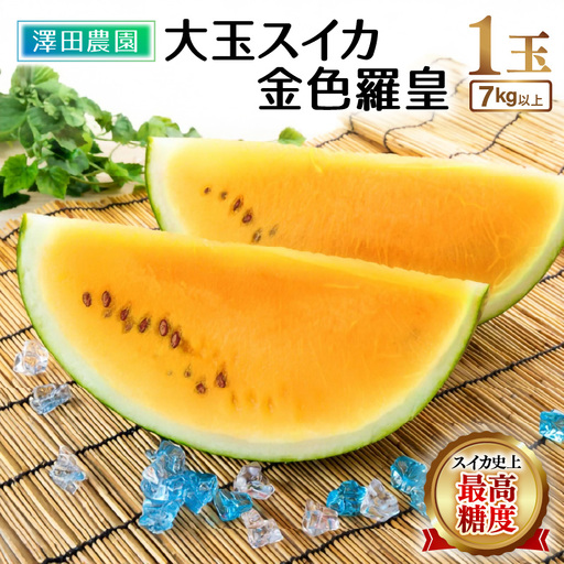 【先行予約】大玉スイカ『金色羅皇』（7kg以上 1玉入） スイカ史上 最高糖度！ ／ あわら 果物 フルーツ 高糖度 すいか 産地直送 ※2027年6月中旬より順次発送 [aw039-a025]