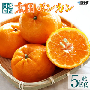 日越農園 愛媛県明浜産 太田ポンカン 5kg AHN0002