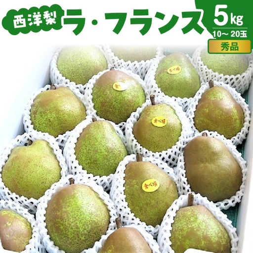 西洋梨（ラ・フランス）５ｋｇ　中玉～大玉　0075-2609