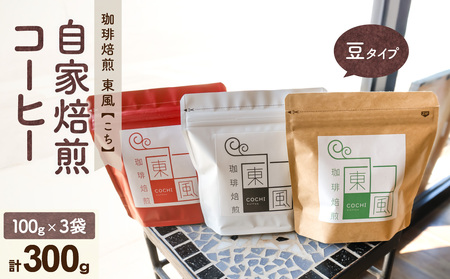 自家焙煎 東風コーヒー豆100g×3点セット