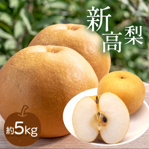 芳醇な香りと上品な甘さ 新高梨 約5kg