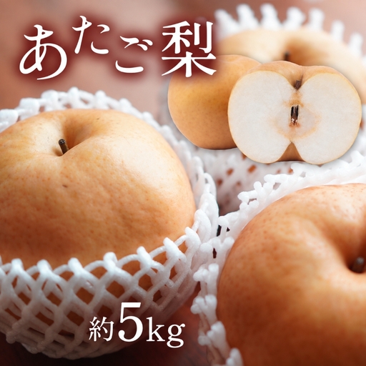 甘さと酸味と食感を楽しむ あたご梨 約5kg