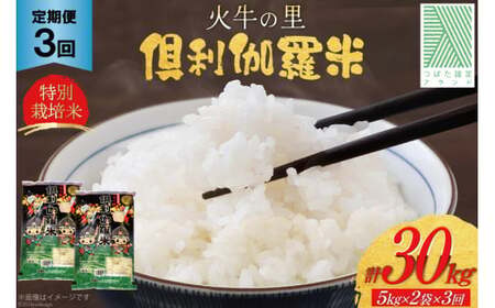 米 3回 定期便 火牛の里 倶利伽羅米 (特別栽培米) 10kg (5kg×2袋)×3回 総計30kg
