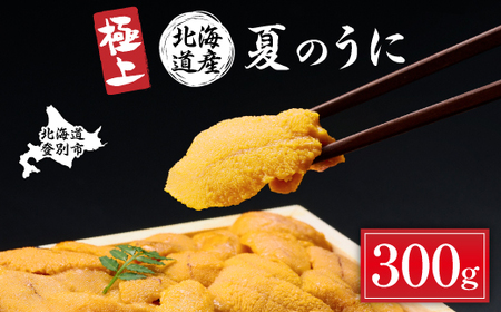 極上！北海道産キタムラサキウニ折詰300g ※2025年6月下旬～順次発送　【ウニ うに 雲丹 キタムラサキ 北海道産 折詰】