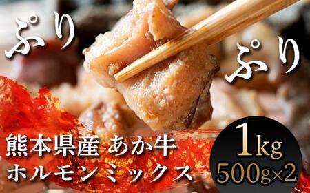 FKK19-217_あか牛ホルモン(ミックス) 熊本県 嘉島町