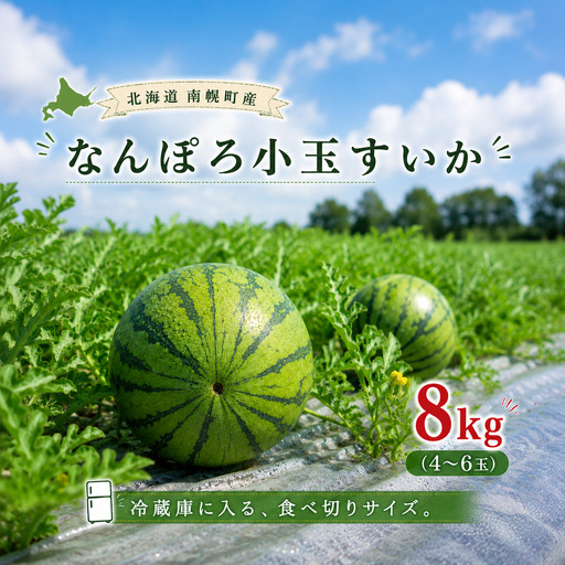 北海道産 小玉スイカ 約8kg 4〜6玉 なんぽろ小玉すいか 8月発送 シャリシャリ食感 南幌町産 NP1-270