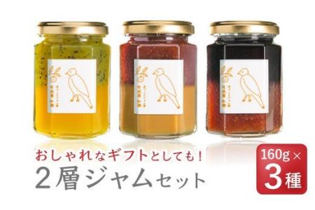  無添加 手作り２層ジャム　160g × ３種セット＜お試し商品＞　KA-35
