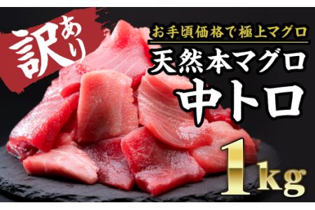 【訳あり】天然本マグロ 中とろ　大満足１kg　CH-65 