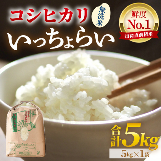 [先行予約][令和8年産・新米][一等米]いっちょらい 無洗米 5kg / 福井県産 ブランド米 コシヒカリ ご飯 白米 新鮮 大賞 受賞 ※2026年9月下旬以降順次発送予定 [aw012-a037]