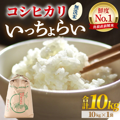【先行予約】【令和8年産・新米】【一等米】いっちょらい 無洗米 10kg×1袋 ／ 福井県産 ブランド米 コシヒカリ ご飯 白米 新鮮 大賞 受賞 ※2026年9月下旬以降順次発送予定 [aw012-a038]