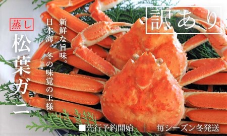 蒸し松葉ガニ 大2枚 ご自宅用 (1枚800〜940g前後) ズワイガニ かに 訳あり TM4 0714
