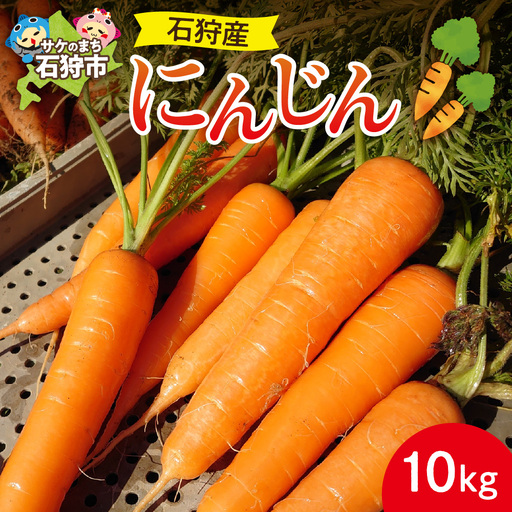 石狩産 人参 10kg[8月〜11月発送]| ふるさと納税 北海道産 野菜 にんじん 北海道 当別町