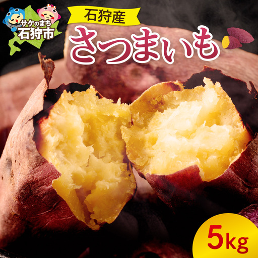 石狩産さつまいも（5kg）【10月発送】｜ ふるさと納税 北海道産 サツマイモ 野菜 北海道 石狩市