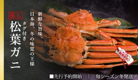 タグ付き蒸し松葉ガニ 大1枚 800〜940g前後 ズワイガニ かに 鳥取 TM6 0716