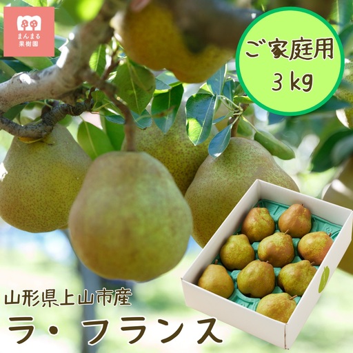 ラフランス 3kg ご家庭用 6玉~12玉 6L~2L 西洋梨 ラ・フランス フルーツ 果物 0055-2609