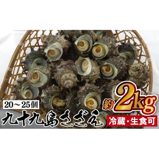 九十九島 さざえ 約2kg さざえ