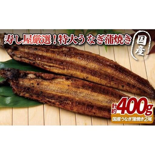 寿しや 朝〆 朝焼き 特大【 鰻 】 蒲焼き うなぎ  A382