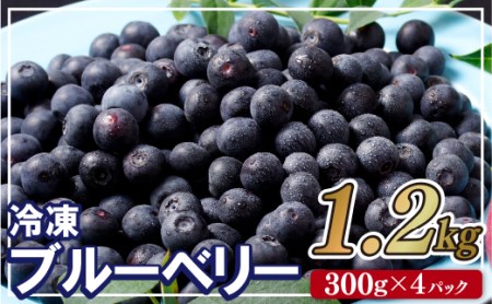 [先行予約]冷凍 ブルーベリー 1.2kg (2026年9月〜発送) | フルーツ ベリー