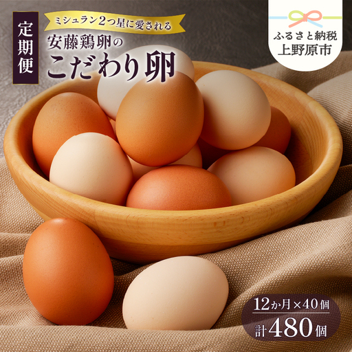 【12ヶ月定期便】 ミシュラン たまご 40個×12ヶ月 計480個 卵 2種類 詰め合わせ 高級卵 濃厚鶏卵 新鮮 卵かけご飯 人気 美味しい