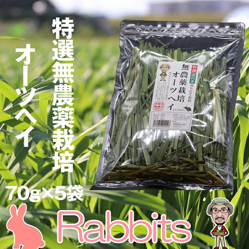 ペットフード うさぎ用 特選オーツヘイ 計350g | ペットフード