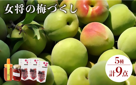 梅干し ハチミツ梅 生はちみつ 女将の梅づくし 《壱岐市》【平山旅館壱岐もの屋】[JAI006] 25000 25000円 のし プレゼント ギフト 冷蔵配送 九州