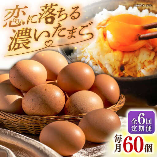 【全6回定期便】【特選卵】素直な恋たまご 60個 [JAP004]