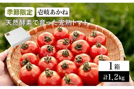 壱岐あかね 完熟トマト 5〜10個×3パック 計1.2kg《壱岐市》【フレッシュメイト壱岐】[JAZ001] トマト とまと ミディトマト 野菜 ギフト 贈答 プレゼント 9000 9000円 九州