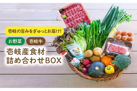 壱岐産 食材詰め合わせ 野菜と壱岐牛 [壱岐市][壱岐イルカパーク&リゾート][JBF013] セット・食べ比べ 42000 42000円