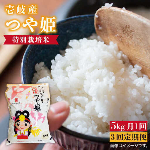 【全3回定期便】壱岐産 つや姫 5kg《壱岐市》 [JBO056] 米 米 米 米 米
