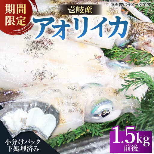 アオリイカ（水イカ）1,500g前後 [JCG019] イカ 刺身