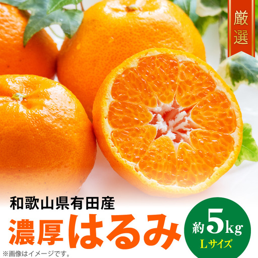 和歌山有田の濃厚 はるみ 5kg (Lサイズ)【ハルミ 春見 ミカン 蜜柑 柑橘 和歌山 有田】_AB6047n