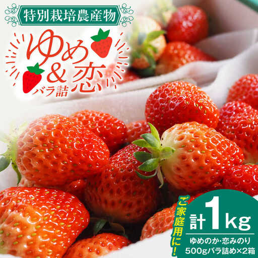 【先行予約】家庭用 いちご 1kg（ゆめのか/恋みのり） [JEO002] イチゴ 苺