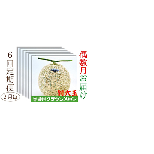 メロン 偶数月 6回 定期便 クラウン 白等級 特大玉 メロン